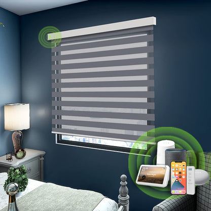 Lululand Motorized Zebra Blinds for Window