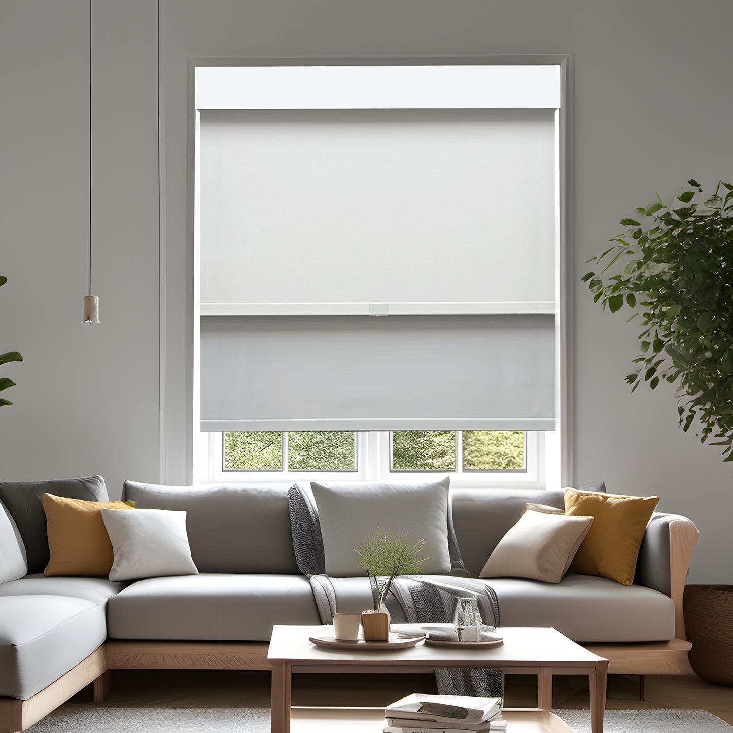 Lululand American-Style Double-Motorized Roller shades