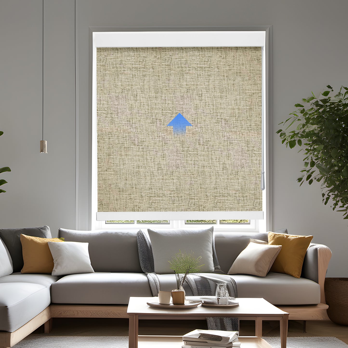 Lululand Sunrise System Roller Shades